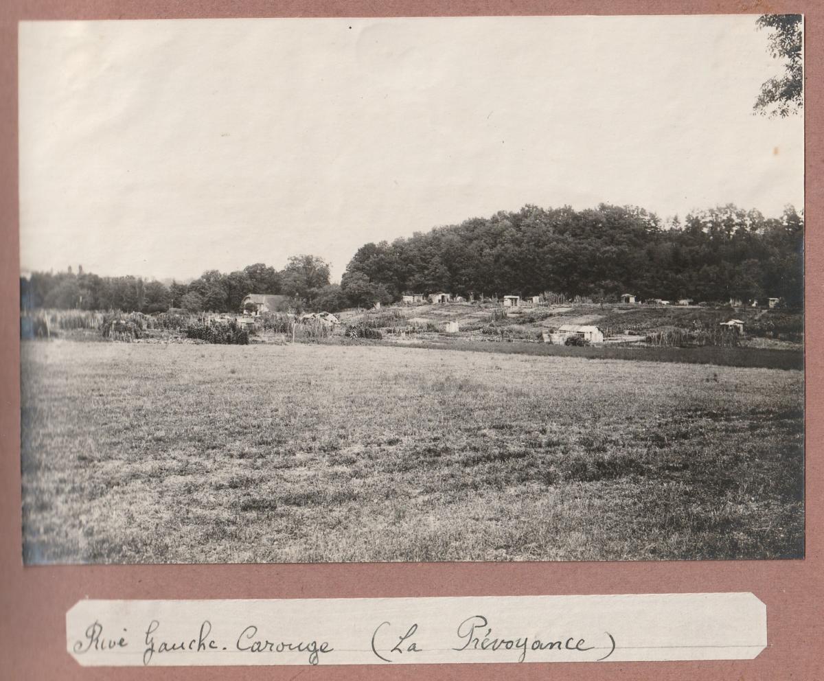 15 Carouge